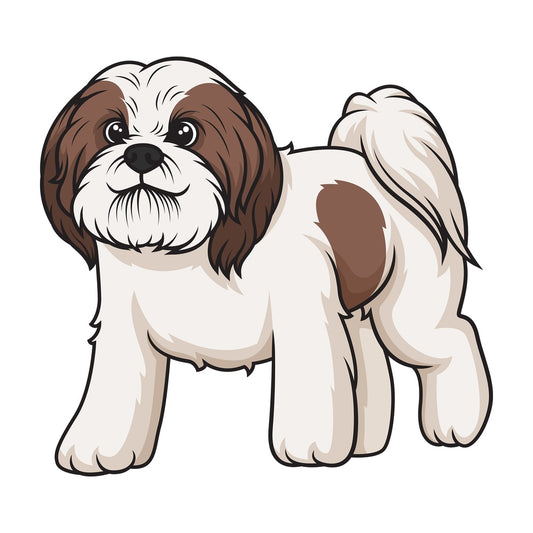 Shih tzu walking. PNG - JPG and vector EPS (infinitely scalable).