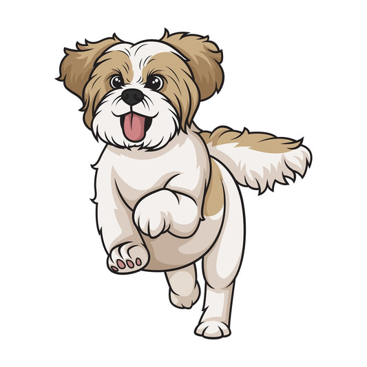 Gold white shih tzu running. PNG - JPG and vector EPS (infinitely scalable).