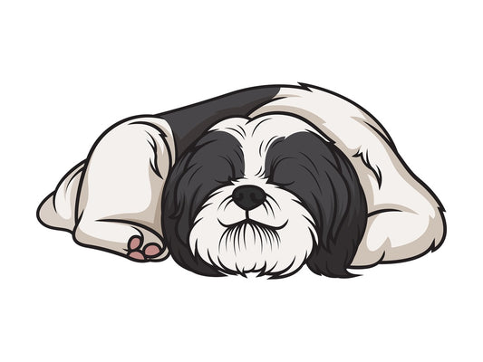 Shih tzu sleeping. PNG - JPG and vector EPS (infinitely scalable).
