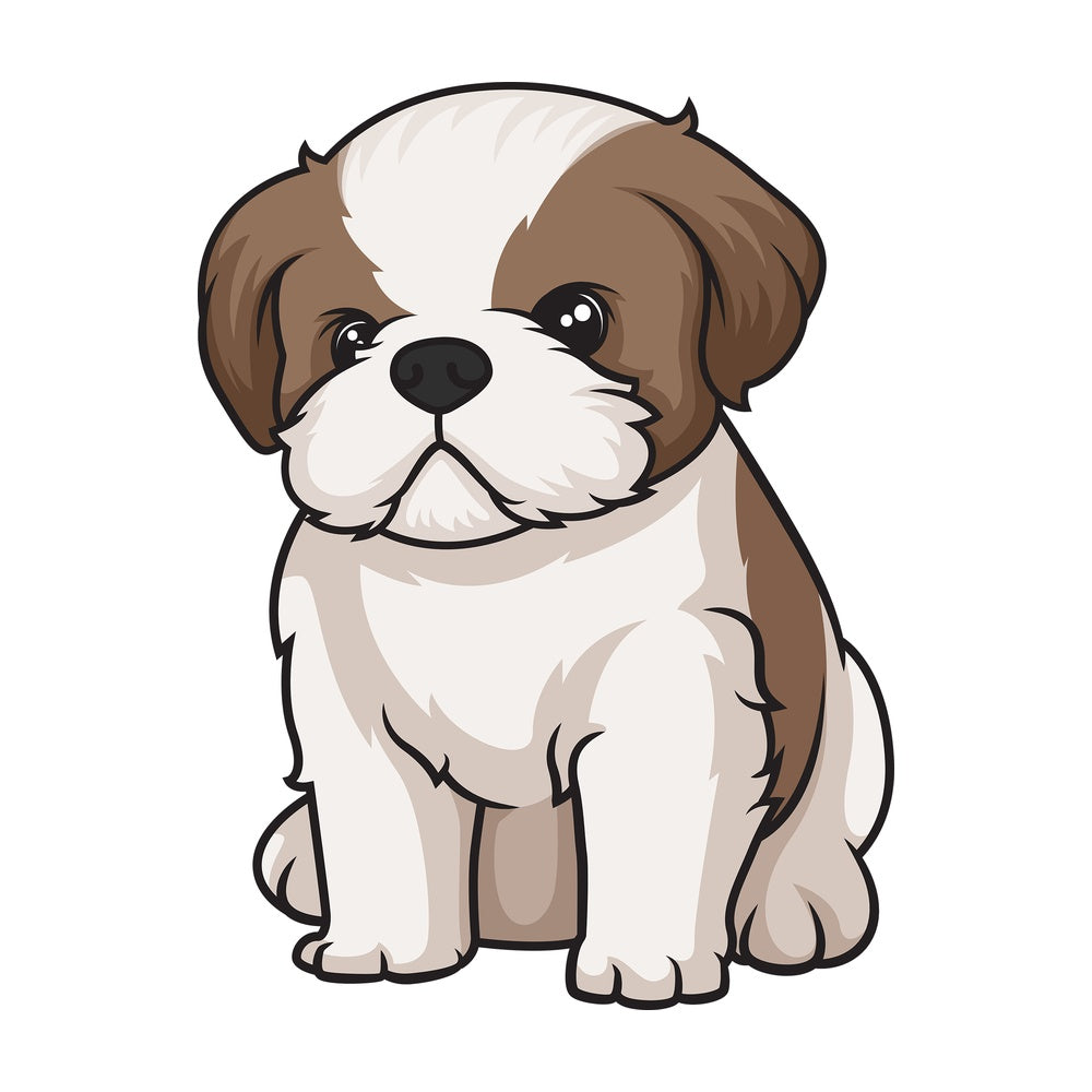 Cute shih tzu puppy. PNG - JPG and vector EPS (infinitely scalable).