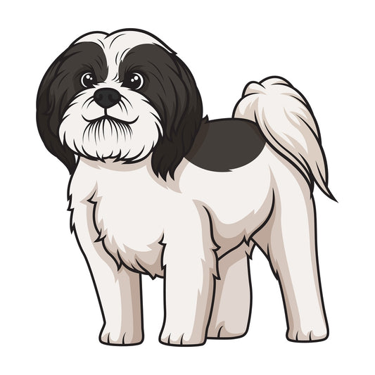 Black parti shih tzu. PNG - JPG and vector EPS (infinitely scalable).