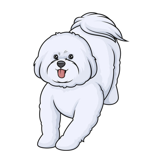 Playful bichon frise. PNG - JPG and vector EPS (infinitely scalable).