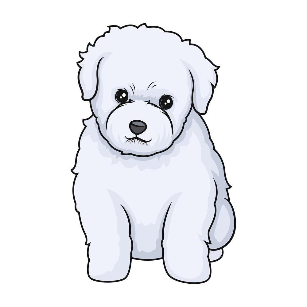 Cute bichon frise puppy. PNG - JPG and vector EPS (infinitely scalable).