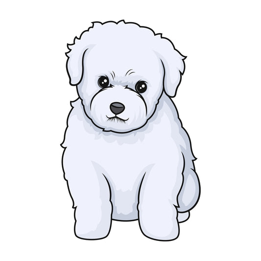 Cute bichon frise puppy. PNG - JPG and vector EPS (infinitely scalable).