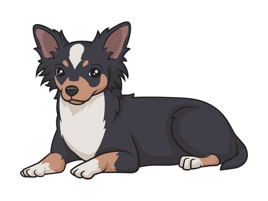 Black tri chihuahua lying down. PNG - JPG and vector EPS (infinitely scalable).