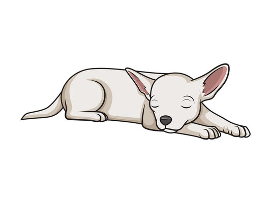 Chihuahua sleeping. PNG - JPG and vector EPS (infinitely scalable).