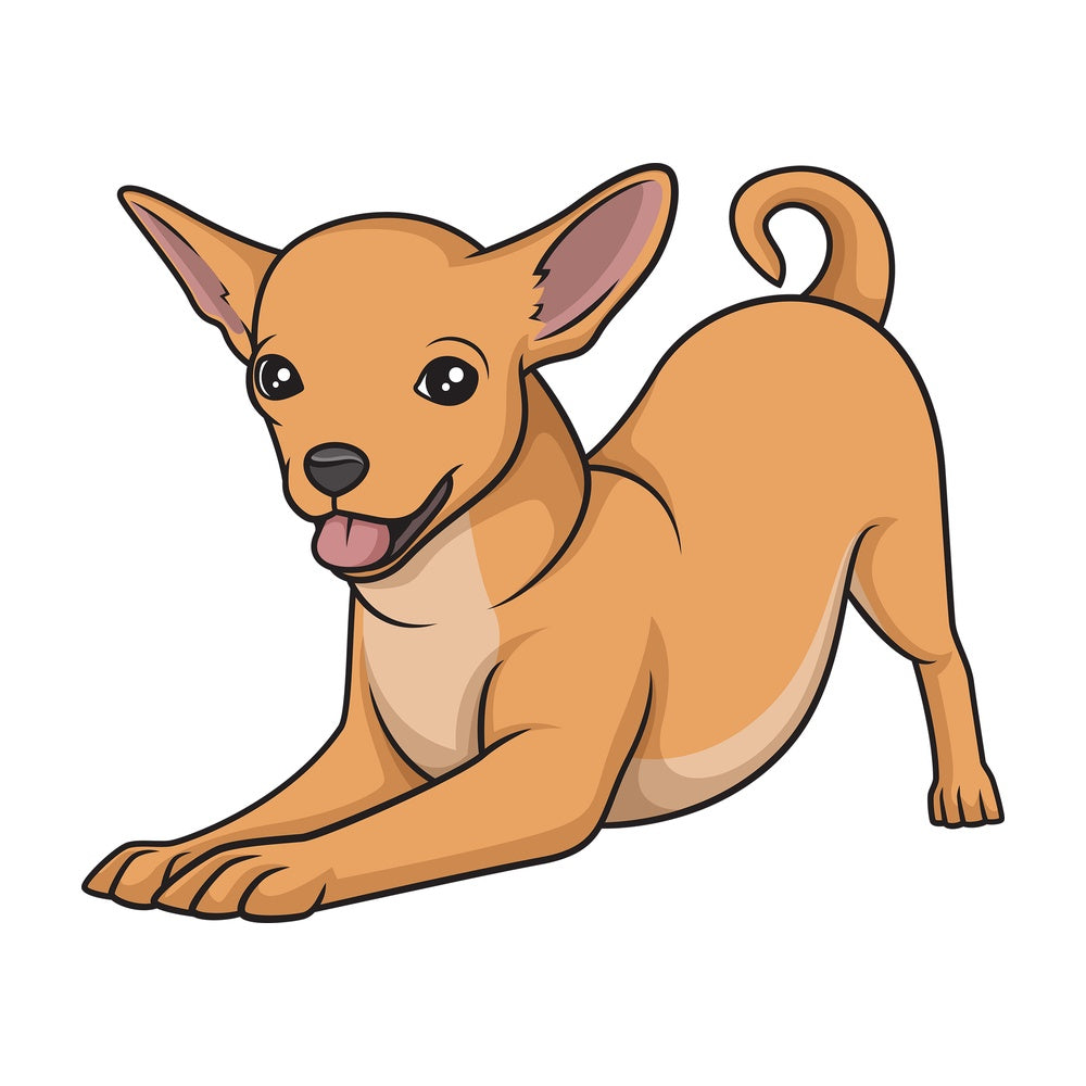 Playful gold chihuahua. PNG - JPG and vector EPS (infinitely scalable).