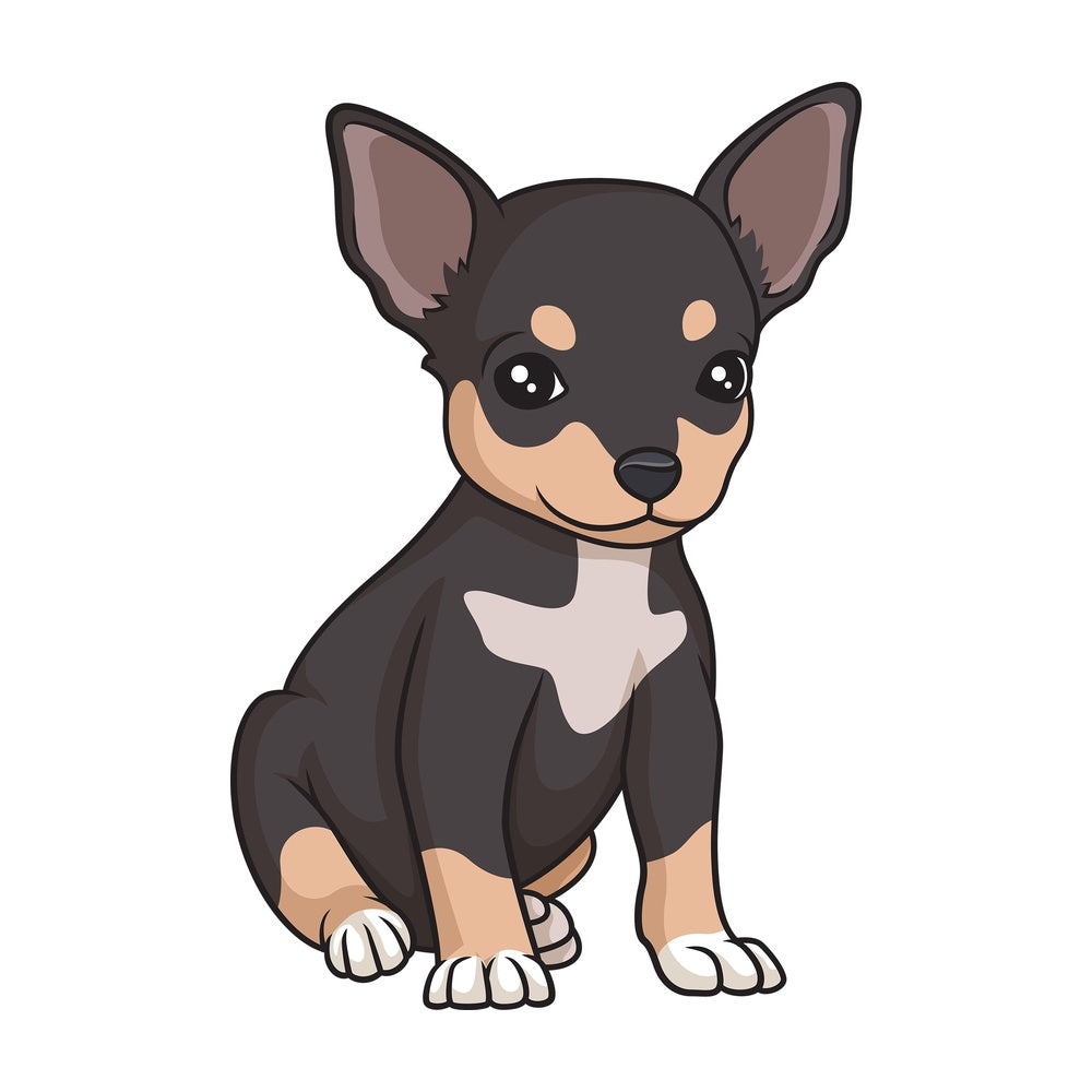 Cute chihuahua puppy. PNG - JPG and vector EPS (infinitely scalable).