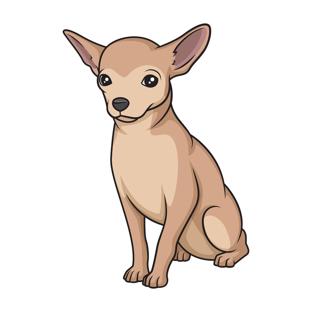 Obedient chihuahua sitting. PNG - JPG and vector EPS (infinitely scalable).