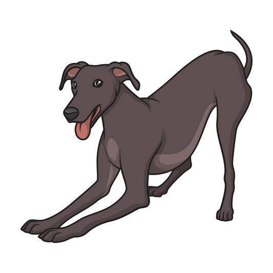 Playful greyhound. PNG - JPG and vector EPS (infinitely scalable).