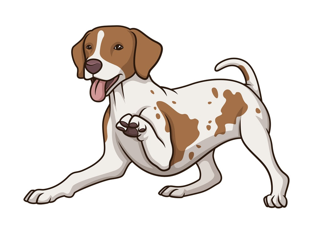 Playful pointer. PNG - JPG and vector EPS (infinitely scalable).