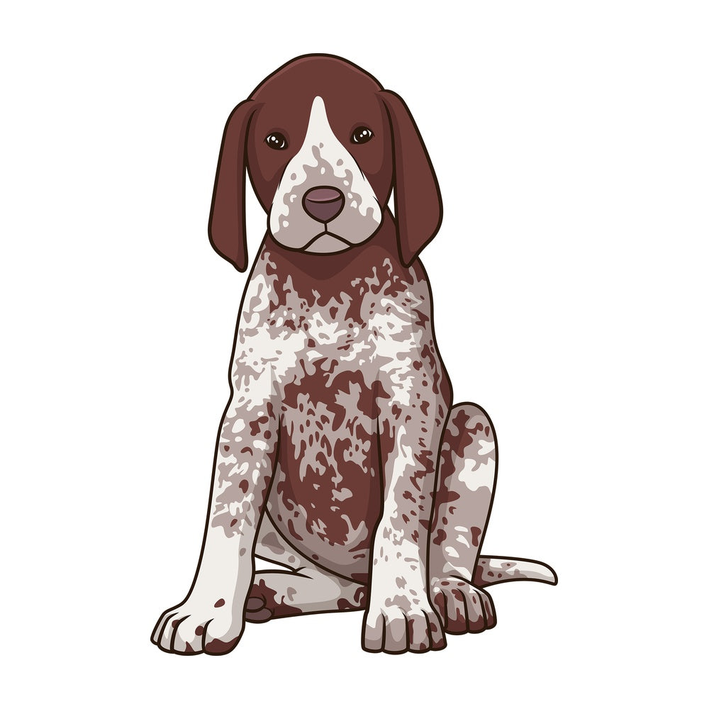 Cute pointer puppy. PNG - JPG and vector EPS (infinitely scalable).