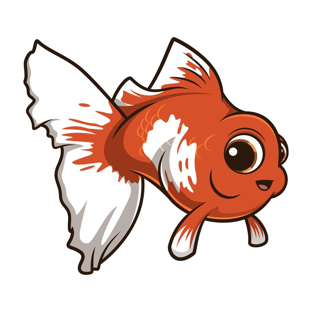 Cute chubby fish. PNG - JPG and vector EPS (infinitely scalable).
