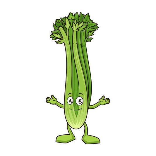 Happy celery character. PNG - JPG and vector EPS (infinitely scalable).