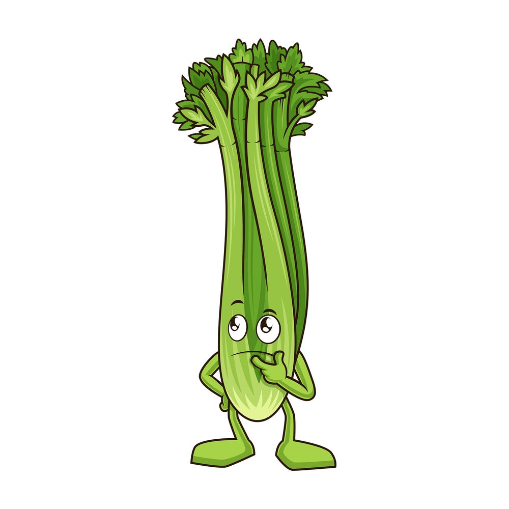 Thinking celery. PNG - JPG and vector EPS (infinitely scalable).