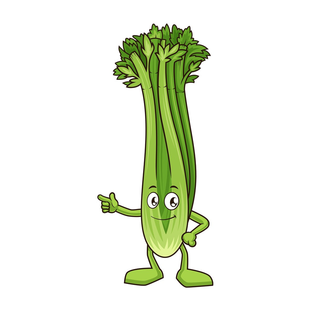 Celery pointing sideways. PNG - JPG and vector EPS (infinitely scalable).