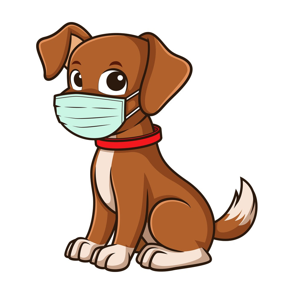 Dog wearing medical face mask. PNG - JPG and vector EPS file formats (infinitely scalable). Image isolated on transparent background.