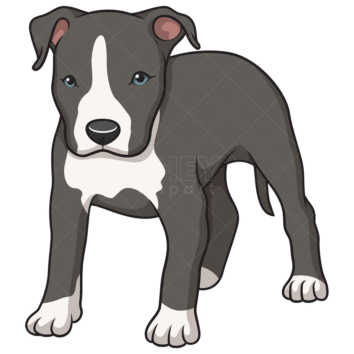 Royalty-free stock vector illustration of a cute american staffordshire terrier puppy.