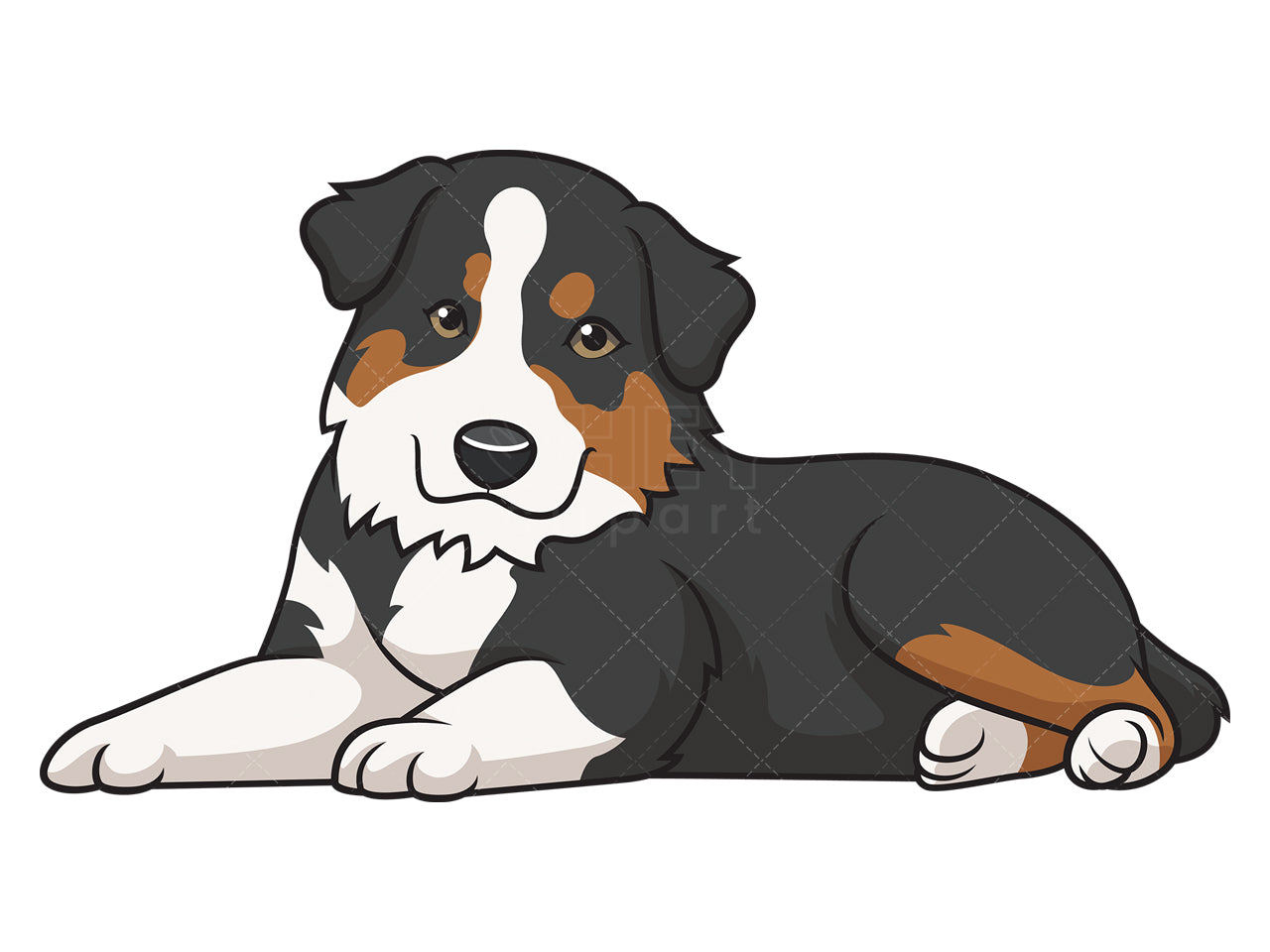 Royalty-free stock vector illustration of a cute australian shepherd puppy.