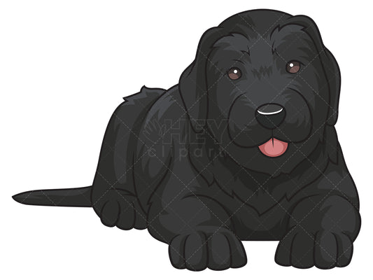 Royalty-free stock vector illustration of a cute black russian terrier puppy.