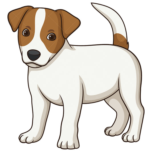 Royalty-free stock vector illustration of a cute jack russell puppy dog.