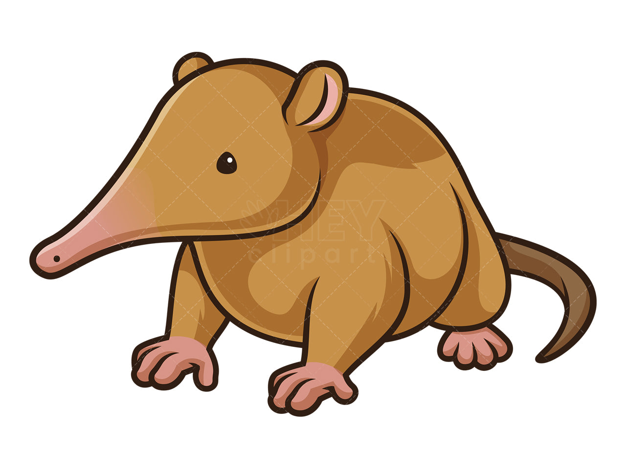 Royalty-free stock vector illustration of a hispaniolan solenodon in chibi kawaii style.