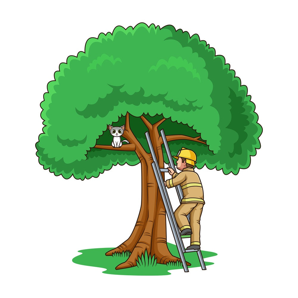 Firefighter saving cat on tree. PNG - JPG and vector EPS file formats (infinitely scalable). Image isolated on transparent background.