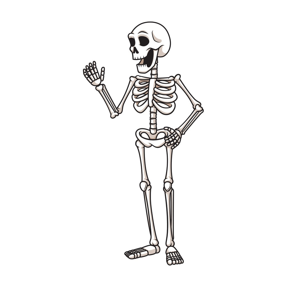 Happy human skeleton. PNG - JPG and vector EPS (infinitely scalable).
