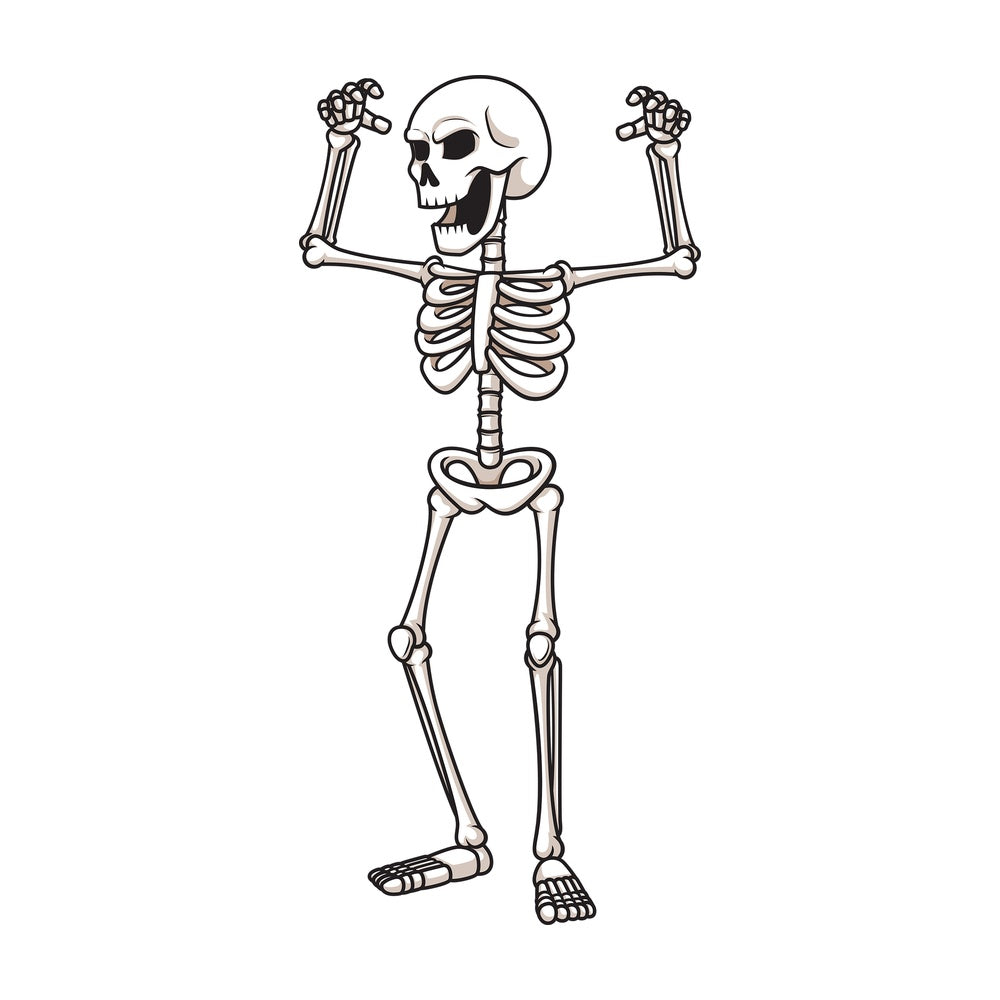 Human skeleton scaring. PNG - JPG and vector EPS (infinitely scalable).