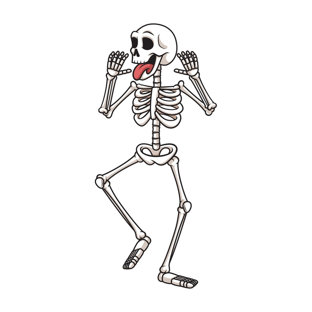 Silly skeleton. PNG - JPG and vector EPS (infinitely scalable).