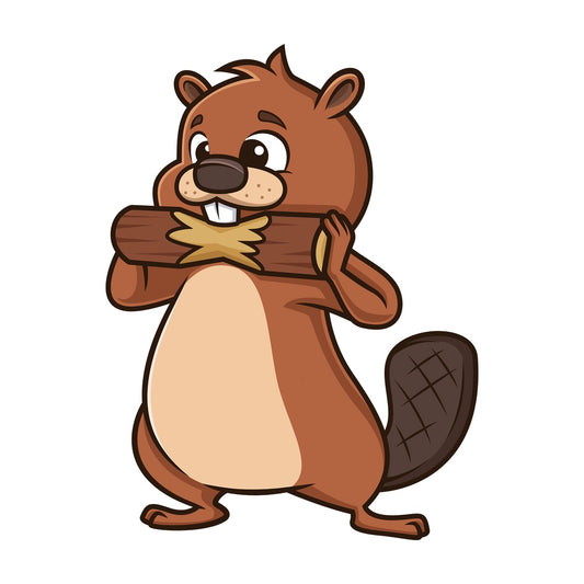 Beaver eating wood. PNG - JPG and vector EPS (infinitely scalable).