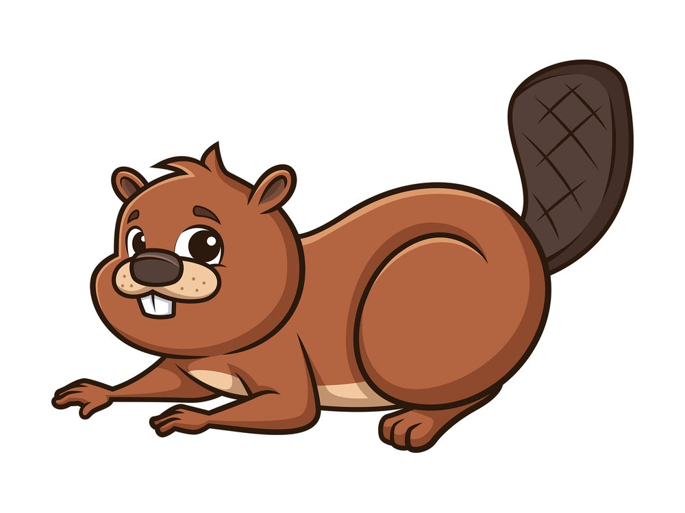 Cute beaver. PNG - JPG and vector EPS (infinitely scalable).