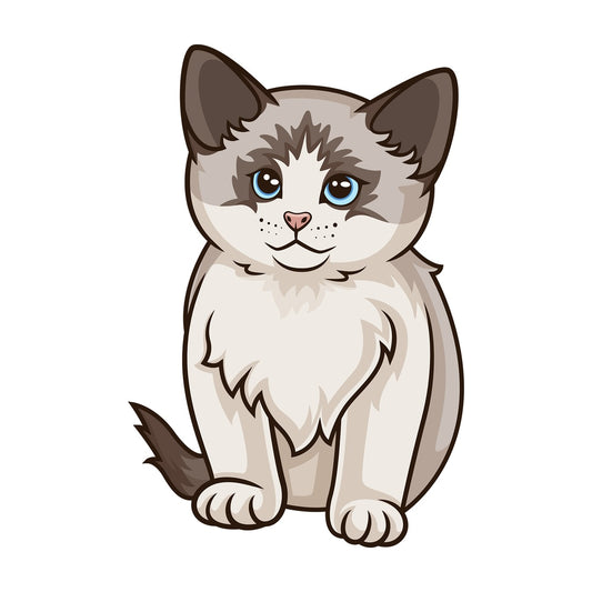 Ragdoll kitten. PNG - JPG and vector EPS (infinitely scalable).