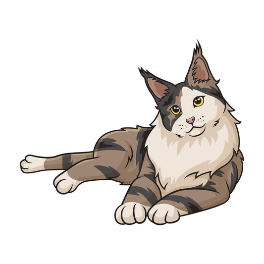 Curious maine coon cat. PNG - JPG and vector EPS (infinitely scalable).