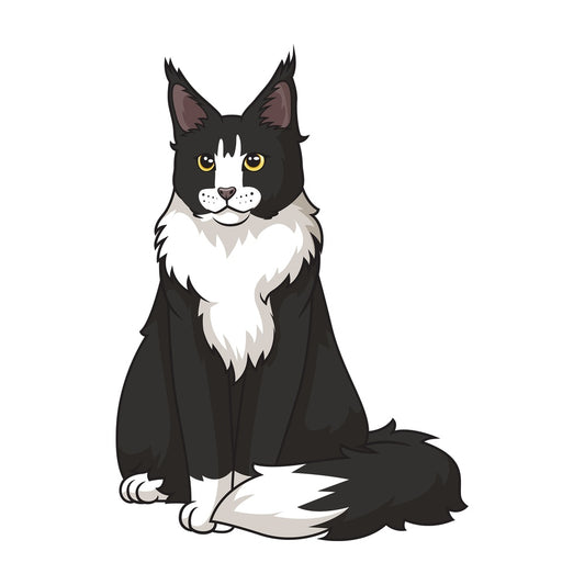 Maine coon cat sitting. PNG - JPG and vector EPS (infinitely scalable).