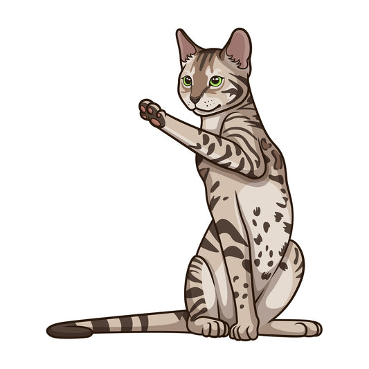 Playful bengal cat. PNG - JPG and vector EPS (infinitely scalable).