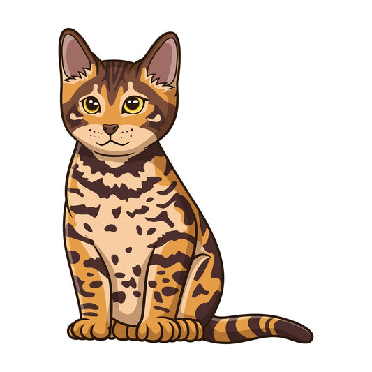 Bengal kitten. PNG - JPG and vector EPS (infinitely scalable).