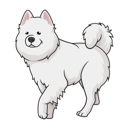 Samoyed walking. PNG - JPG and vector EPS (infinitely scalable).
