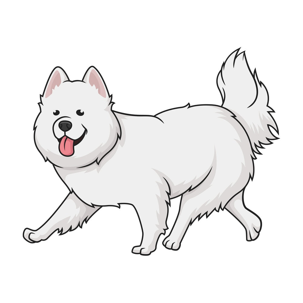 Samoyed dog running. PNG - JPG and vector EPS (infinitely scalable).