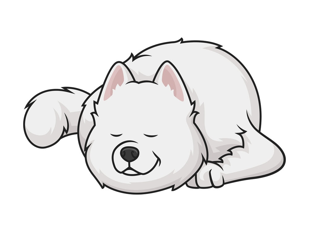 Sleeping samoyed. PNG - JPG and vector EPS (infinitely scalable).