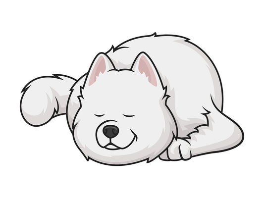Sleeping samoyed. PNG - JPG and vector EPS (infinitely scalable).