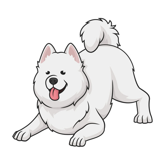 Playful samoyed. PNG - JPG and vector EPS (infinitely scalable).