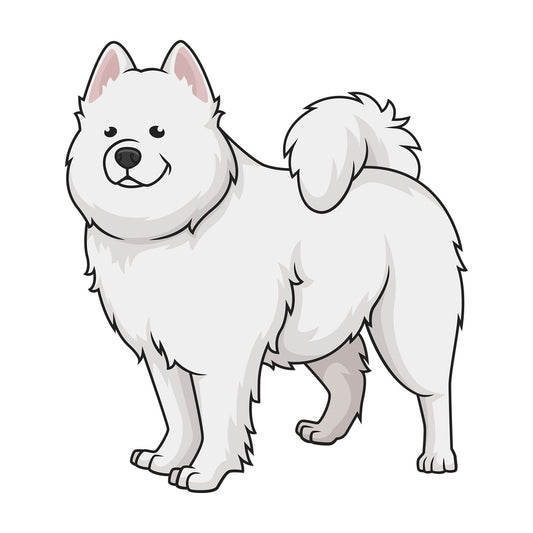Gorgeous samoyed dog. PNG - JPG and vector EPS