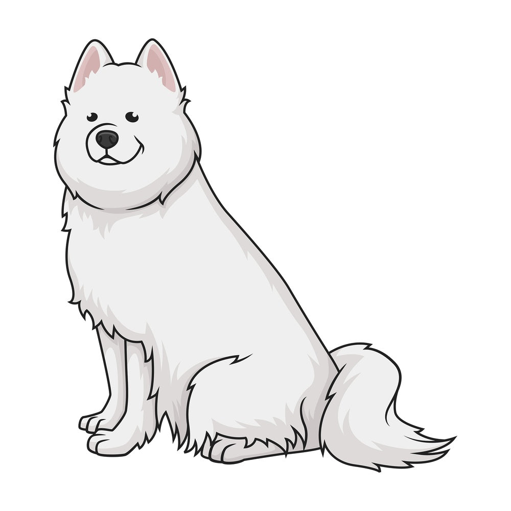 Obedient samoyed dog. PNG - JPG and vector EPS (infinitely scalable).