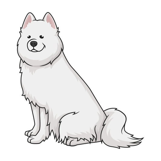 Obedient samoyed dog. PNG - JPG and vector EPS (infinitely scalable).