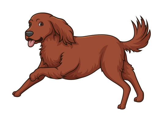 Irish setter running. PNG - JPG and vector EPS (infinitely scalable).
