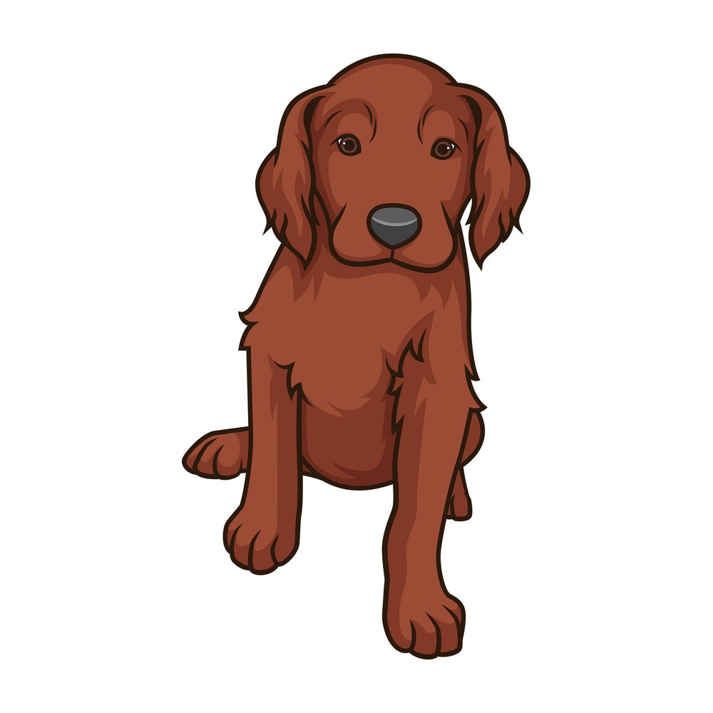 Cute irish setter puppy. PNG - JPG and vector EPS (infinitely scalable).