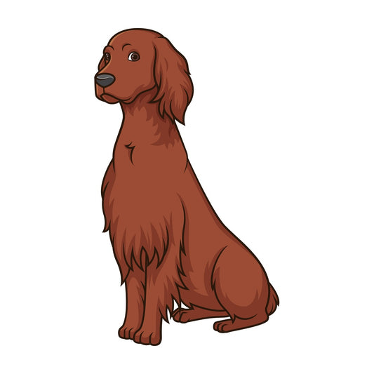 Obedient irish setter sitting. PNG - JPG and vector EPS (infinitely scalable).