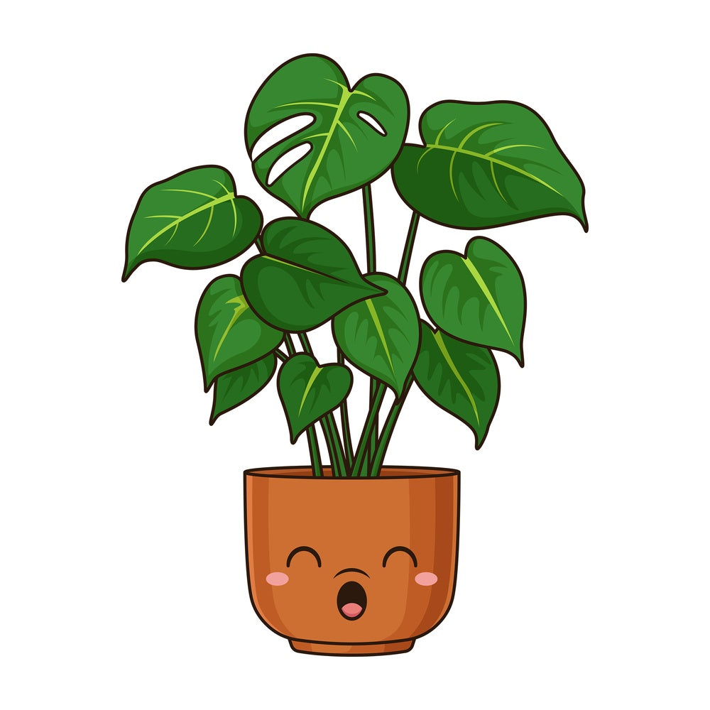 Kawaii swiss cheese plant. PNG - JPG and vector EPS (infinitely scalable).
