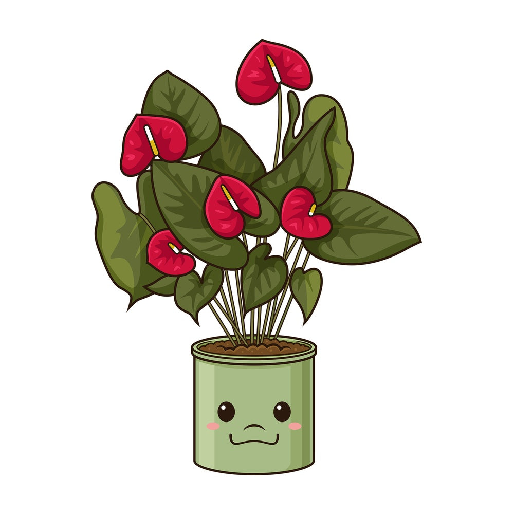 Kawaii anthurium. PNG - JPG and vector EPS (infinitely scalable).
